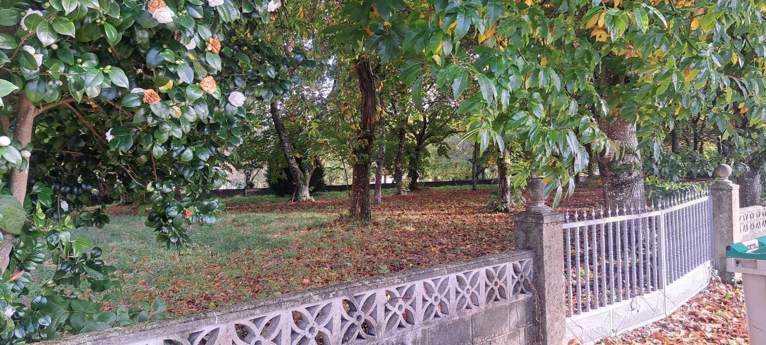 Building Site v prodeji in Paderne