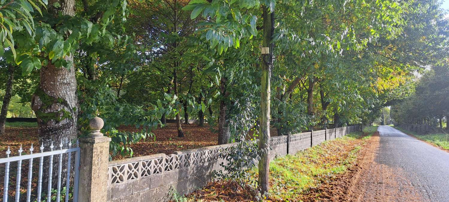 Building Site v prodeji in Paderne