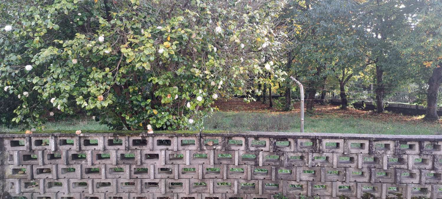 Building Site v prodeji in Paderne