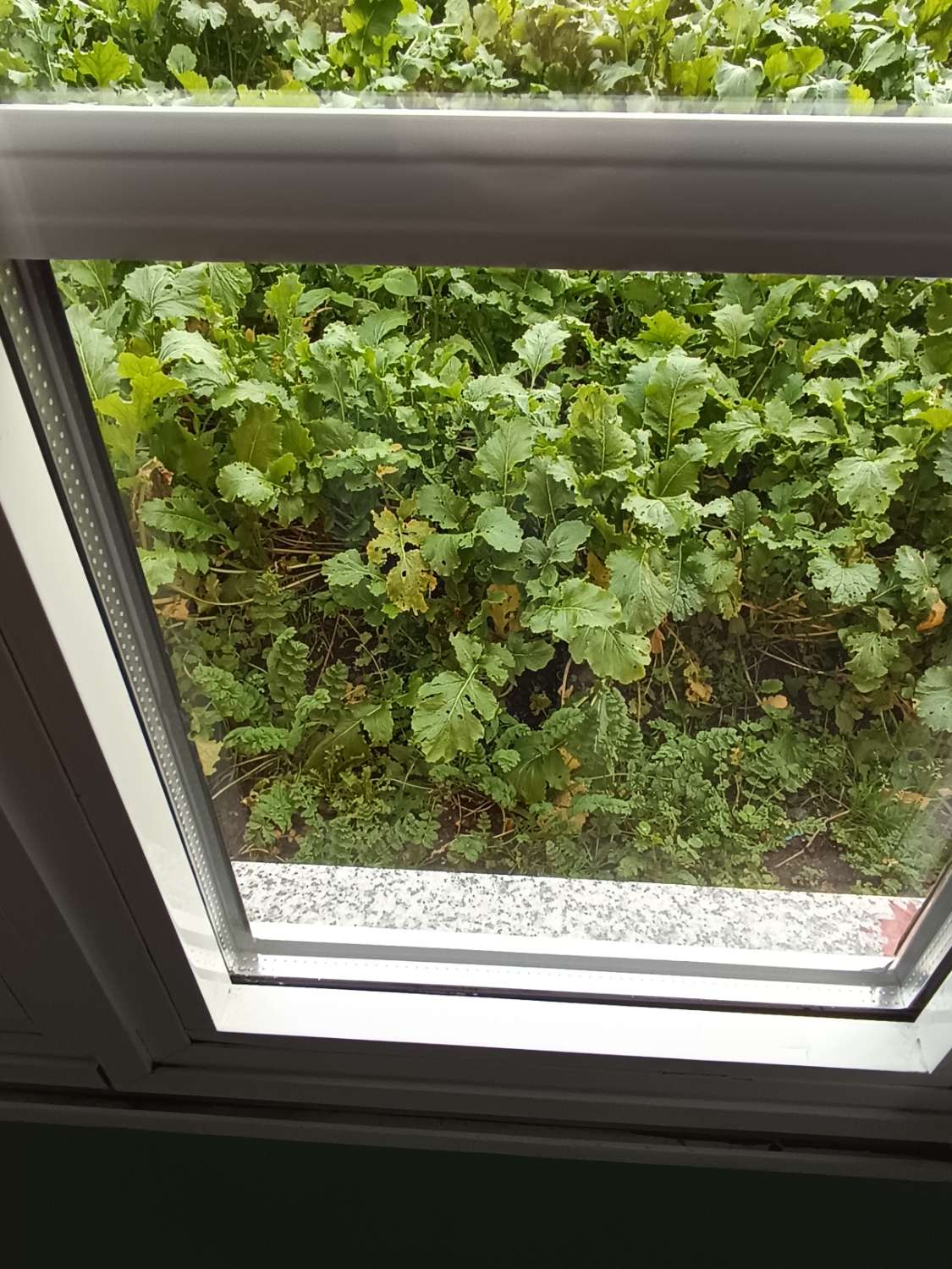 Casa en venda in Ortigueira