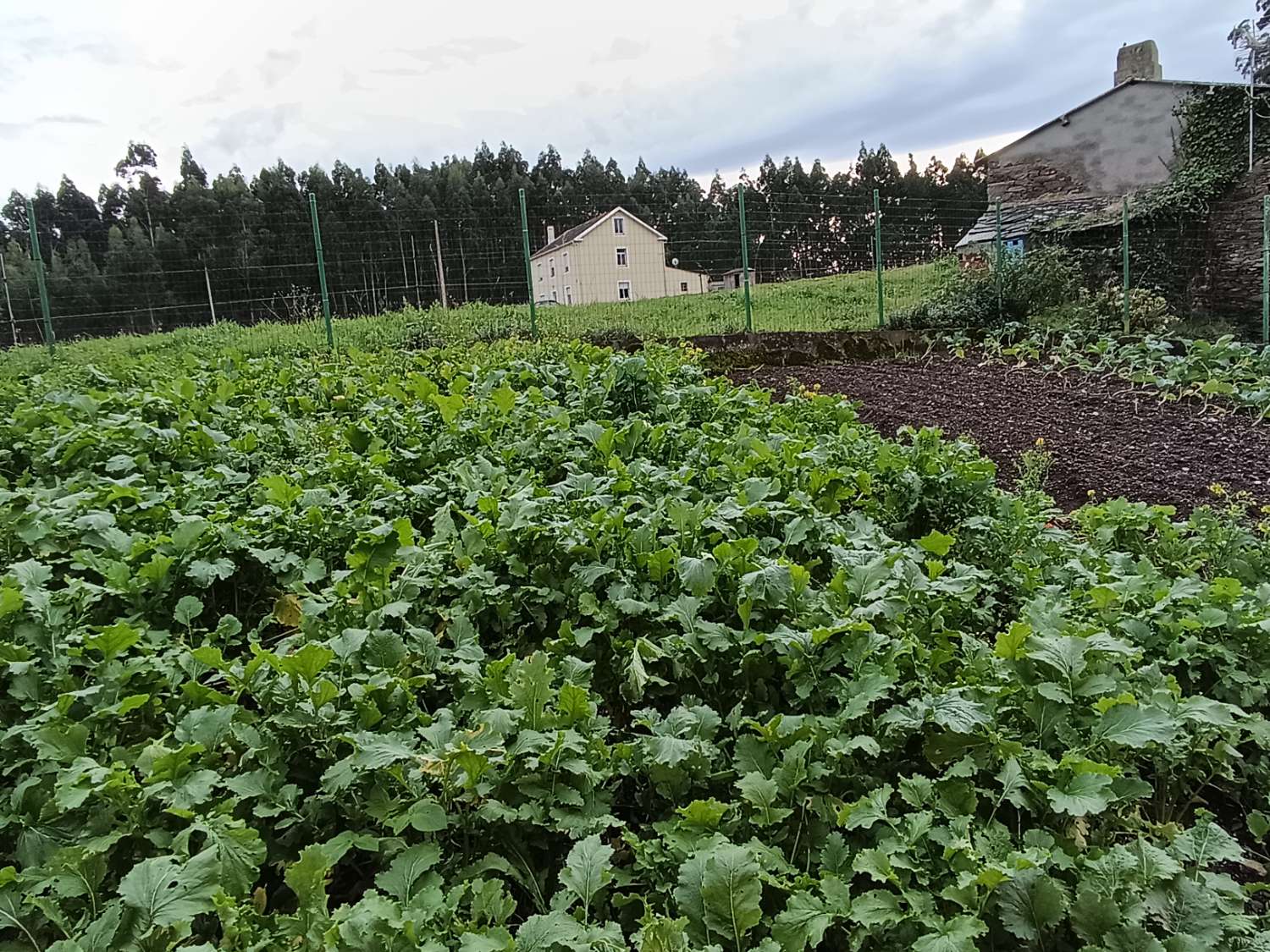 Casa en venda in Ortigueira
