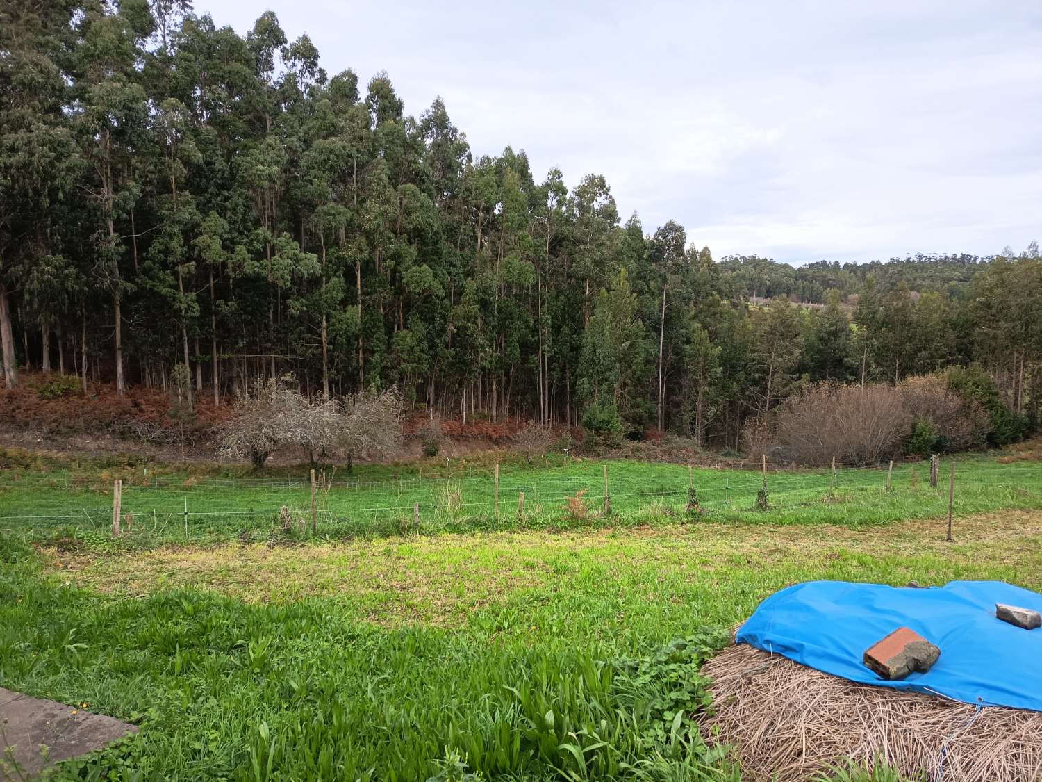 Casa en venda in Ortigueira