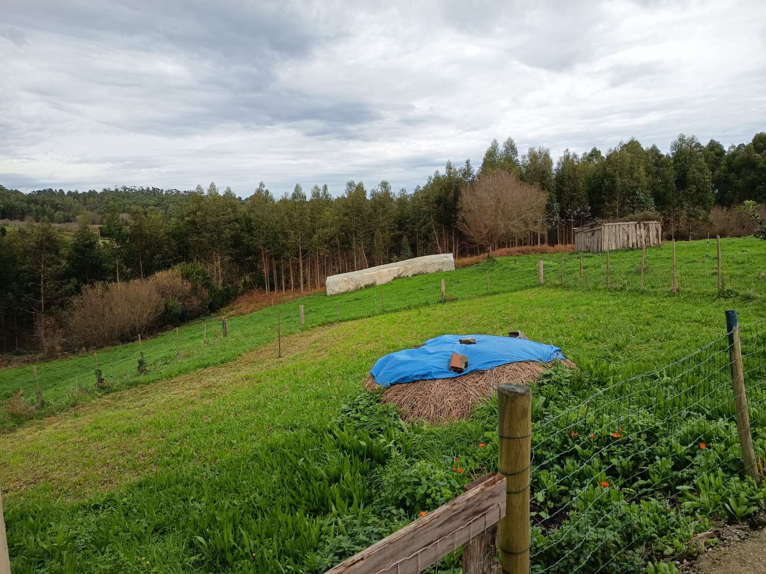Casa en venda in Ortigueira