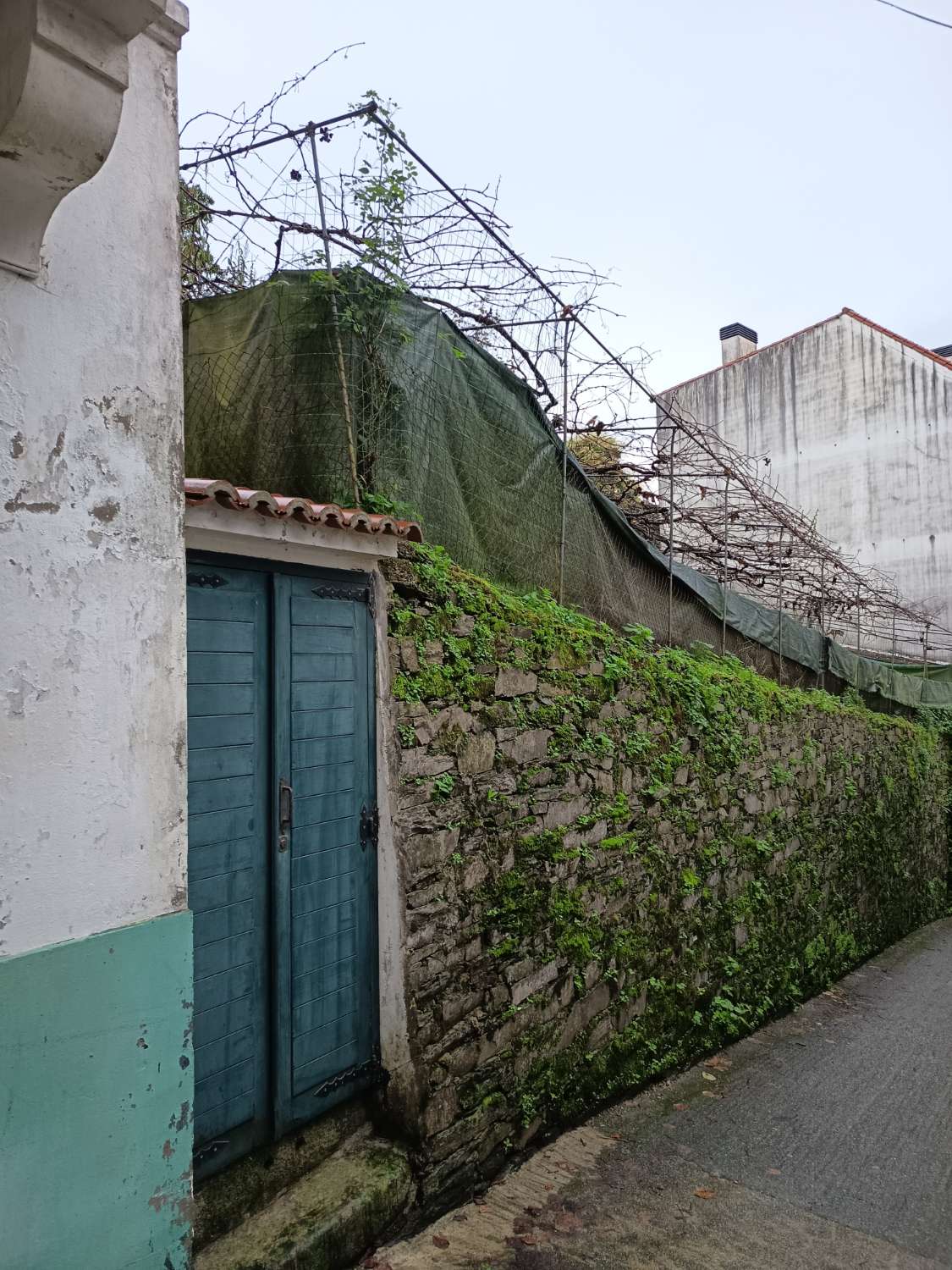 Vendemos casa en exclusiva.