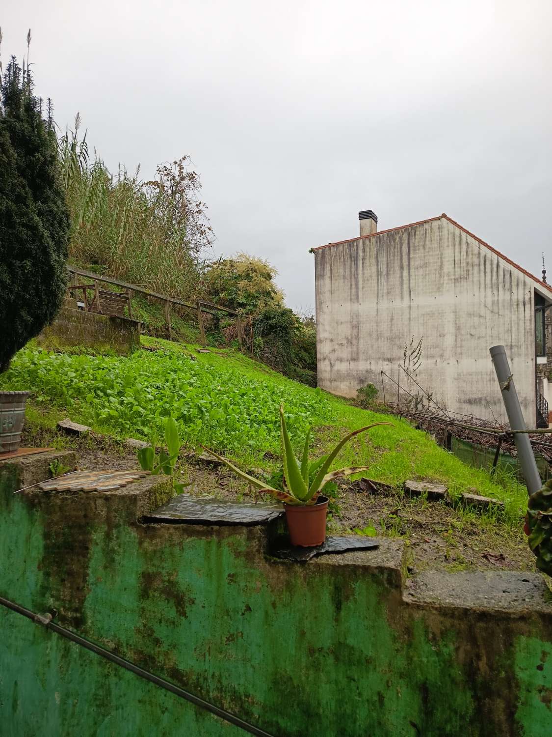 Vendemos casa en exclusiva.