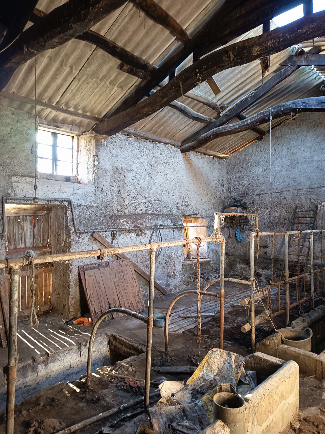 Prodáváme exkluzivně v Ambroa, Irixoa