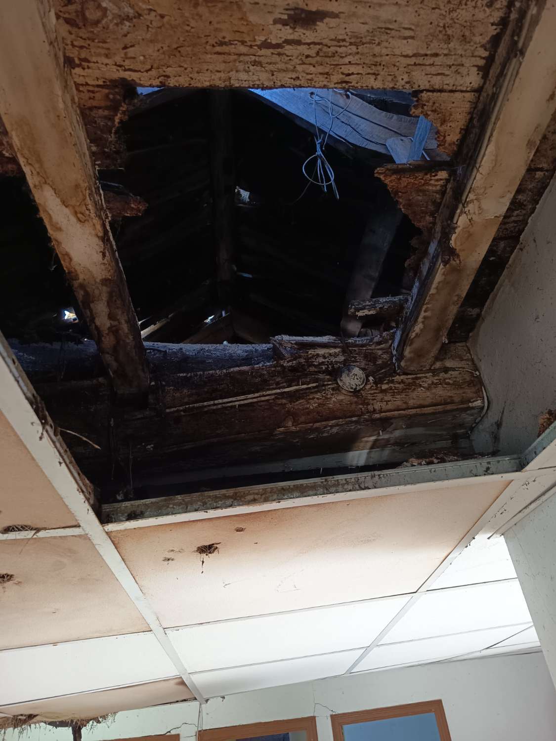 Prodáváme exkluzivně v Ambroa, Irixoa