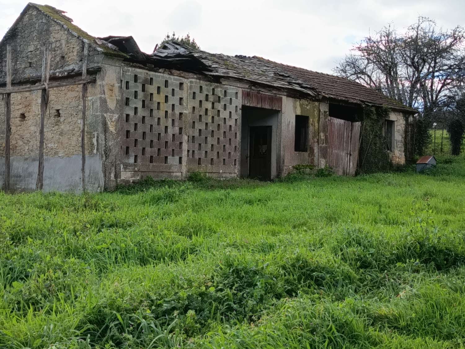 Prodáváme exkluzivně v Ambroa, Irixoa