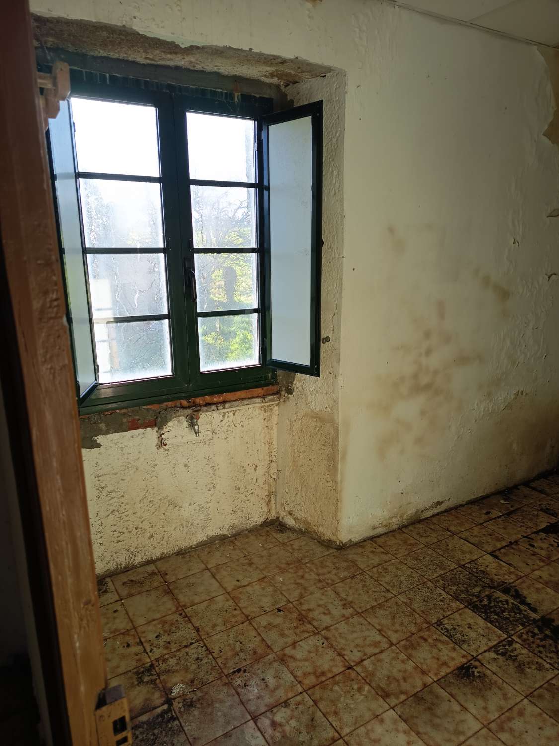 Prodáváme exkluzivně v Ambroa, Irixoa