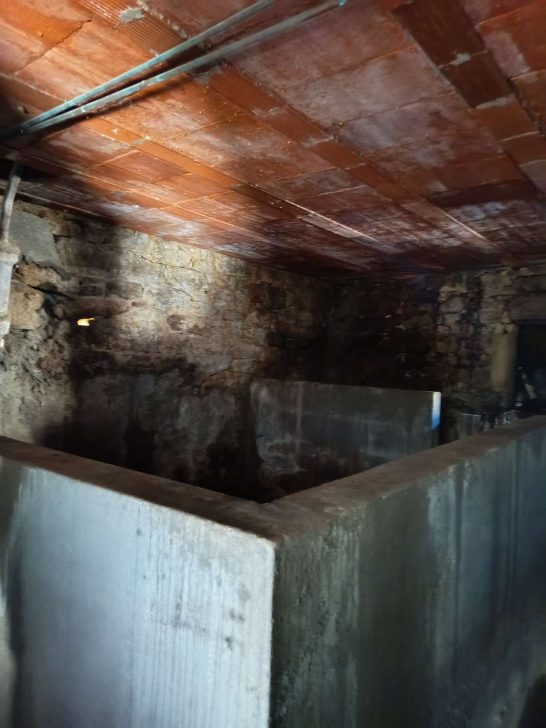 Prodáváme exkluzivně v Ambroa, Irixoa