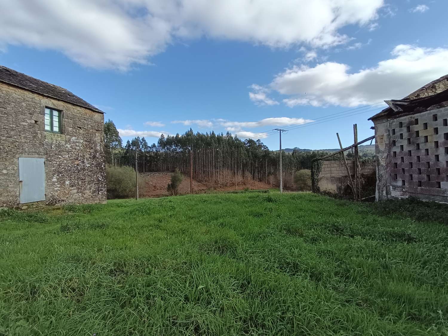 Prodáváme exkluzivně v Ambroa, Irixoa