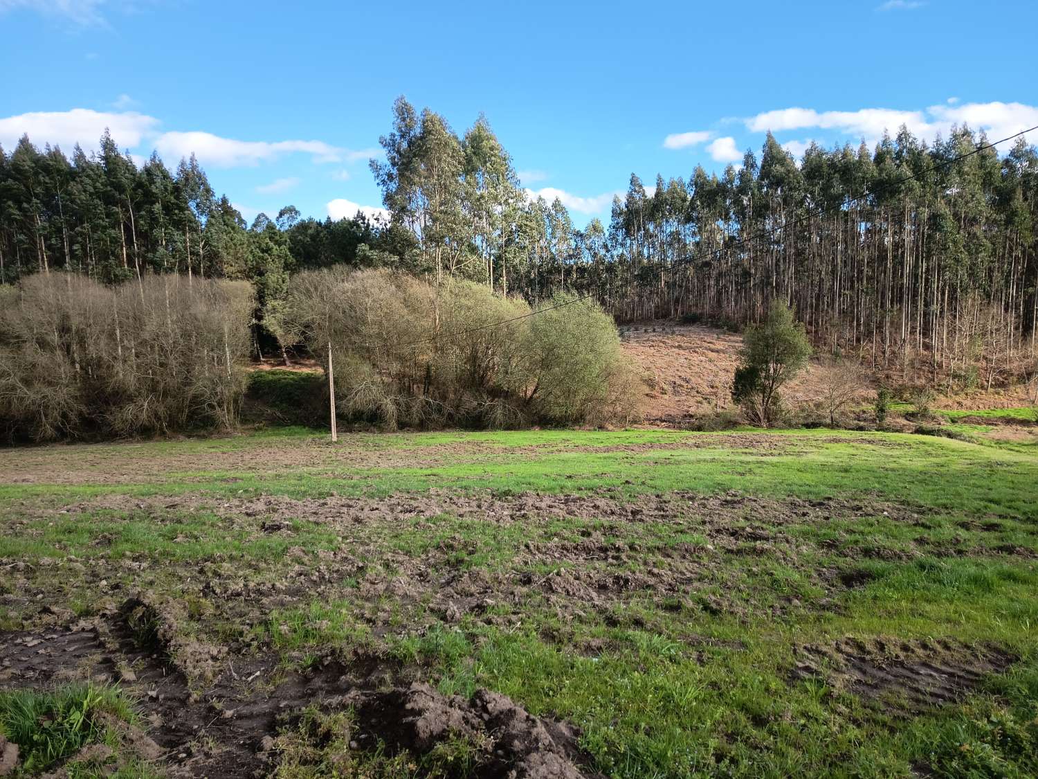 Prodáváme exkluzivně v Ambroa, Irixoa