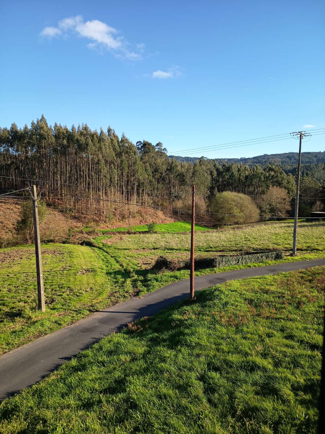 Prodáváme exkluzivně v Ambroa, Irixoa