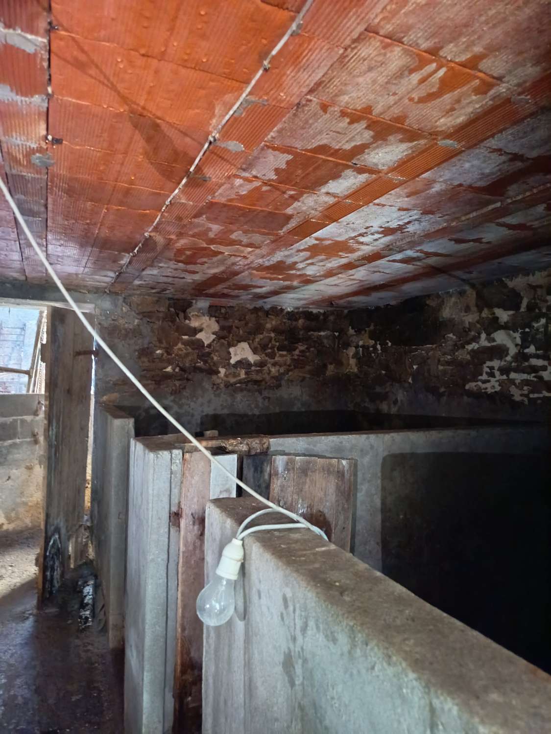 Prodáváme exkluzivně v Ambroa, Irixoa