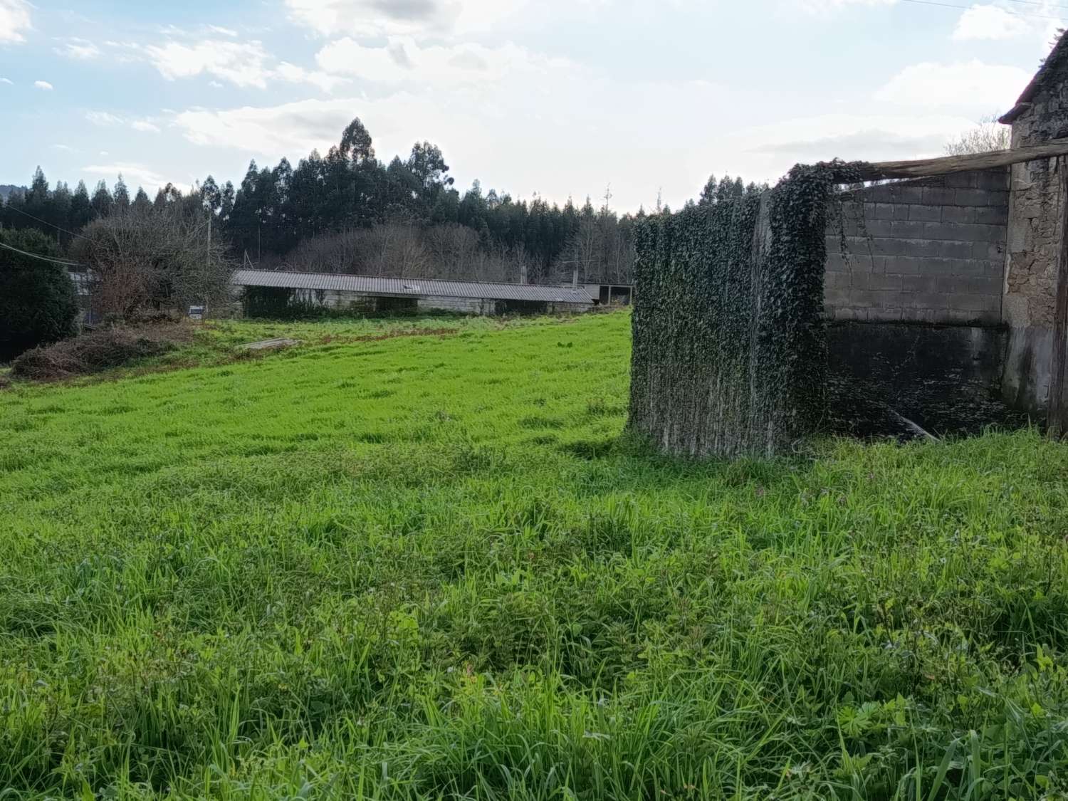 Prodáváme exkluzivně v Ambroa, Irixoa