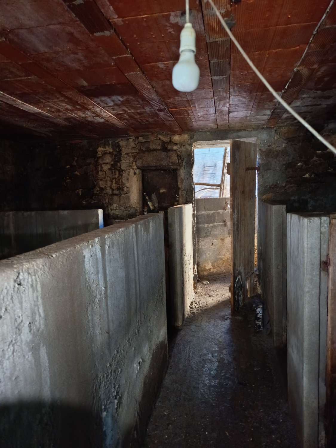 Prodáváme exkluzivně v Ambroa, Irixoa