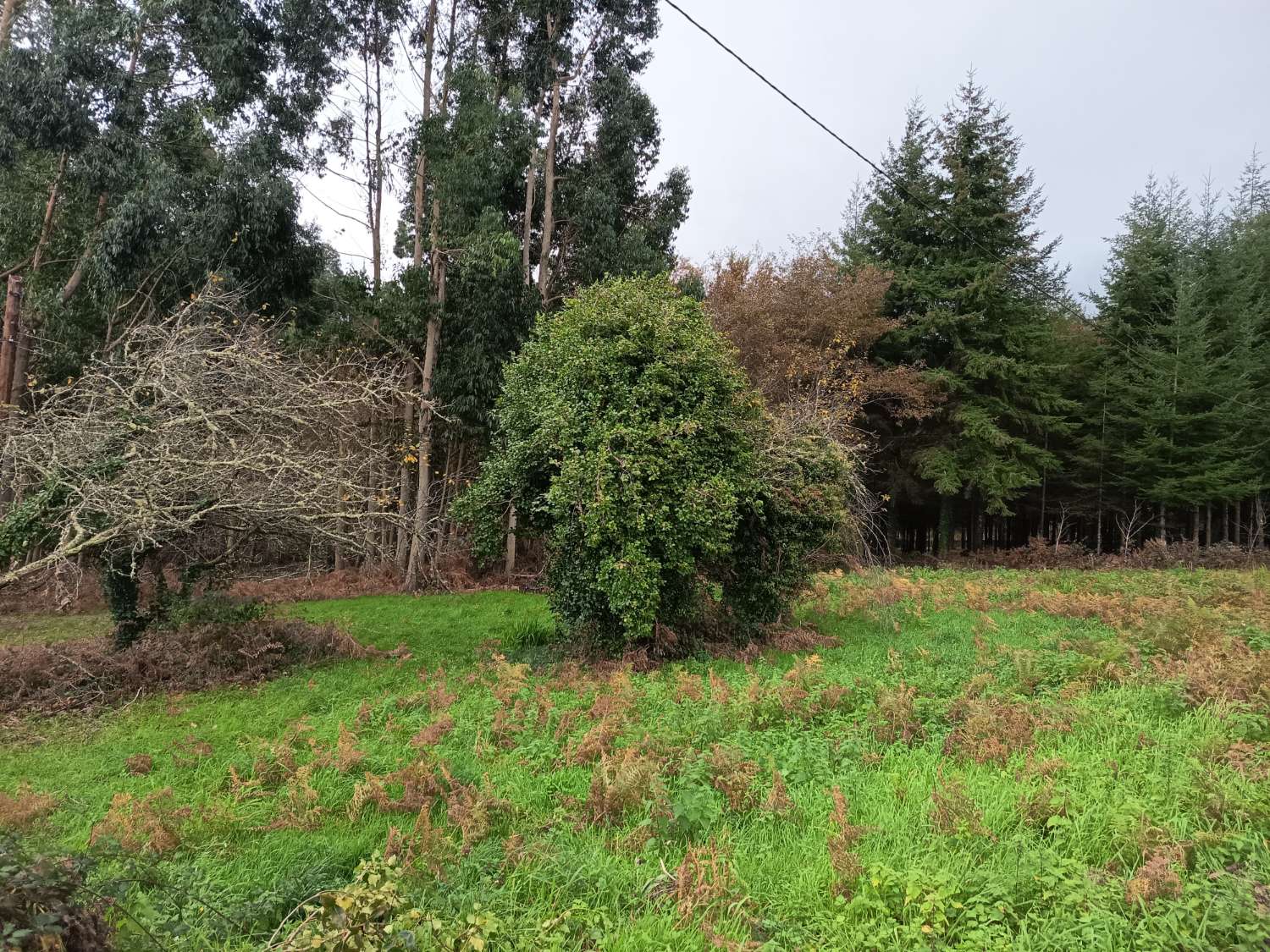 Solar na sprzedaż w Paderne