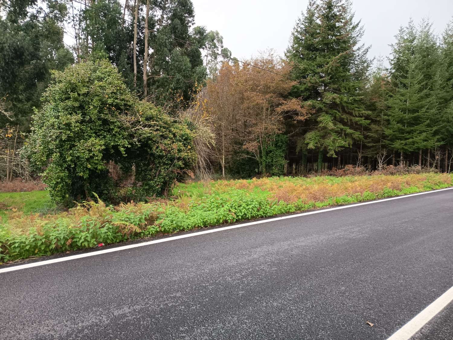 Solar na sprzedaż w Paderne