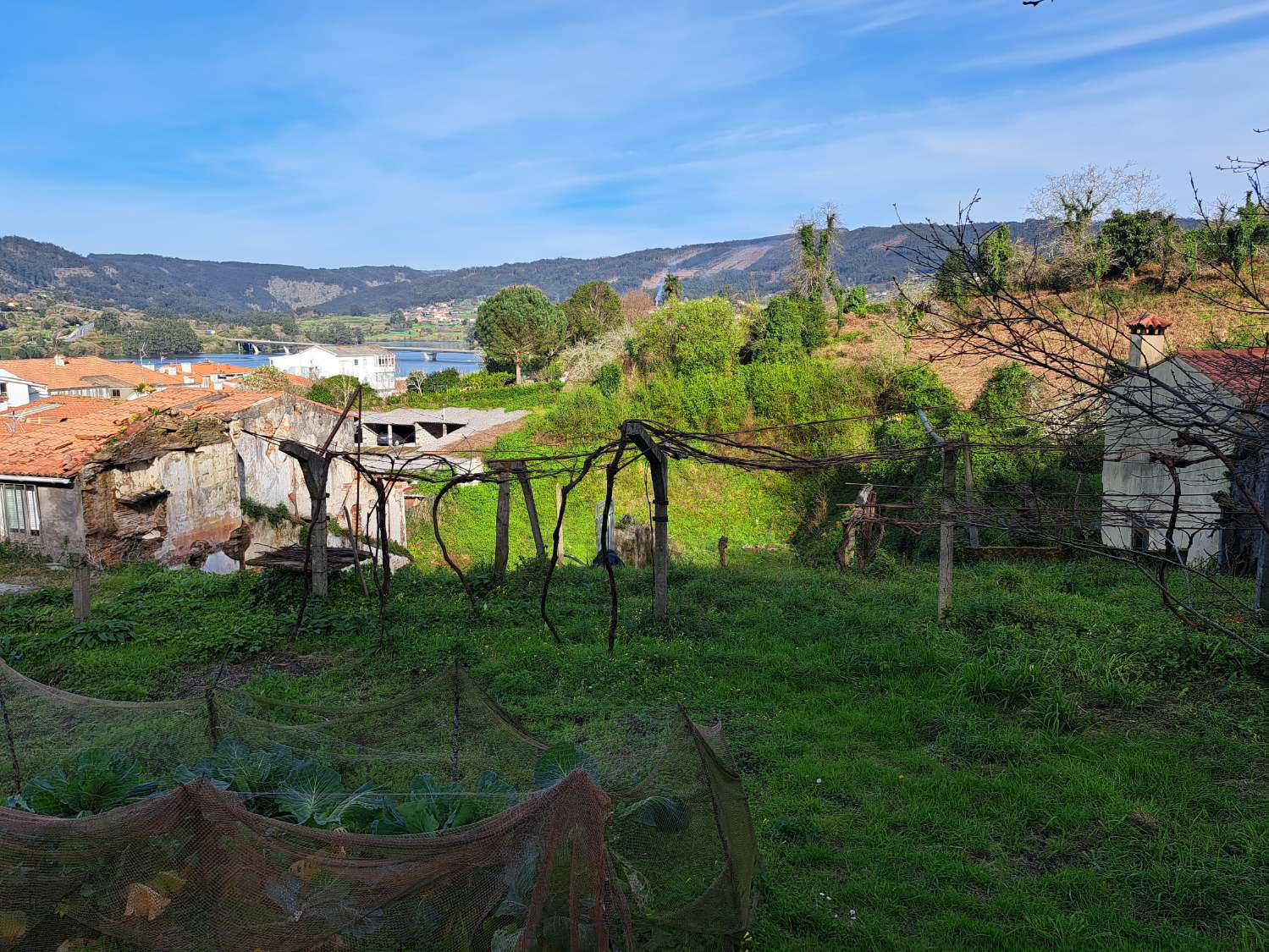 Nous vendons un terrain urbain à Pontedeume.