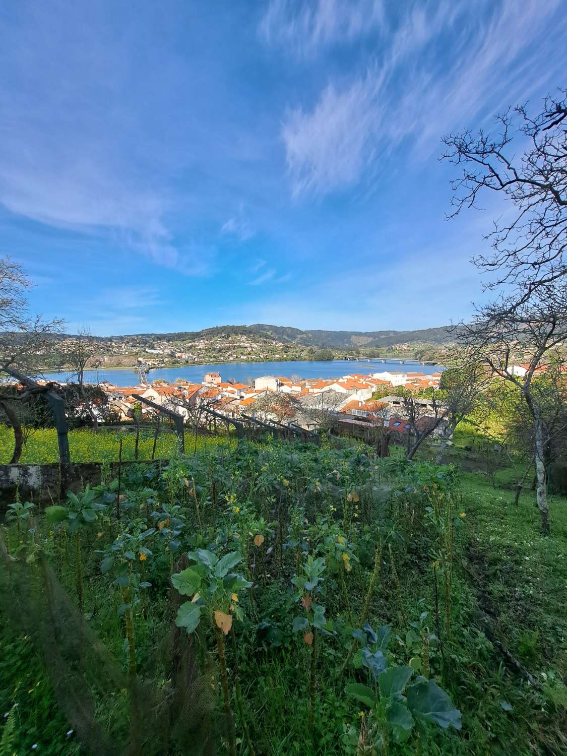 Nous vendons un terrain urbain à Pontedeume.