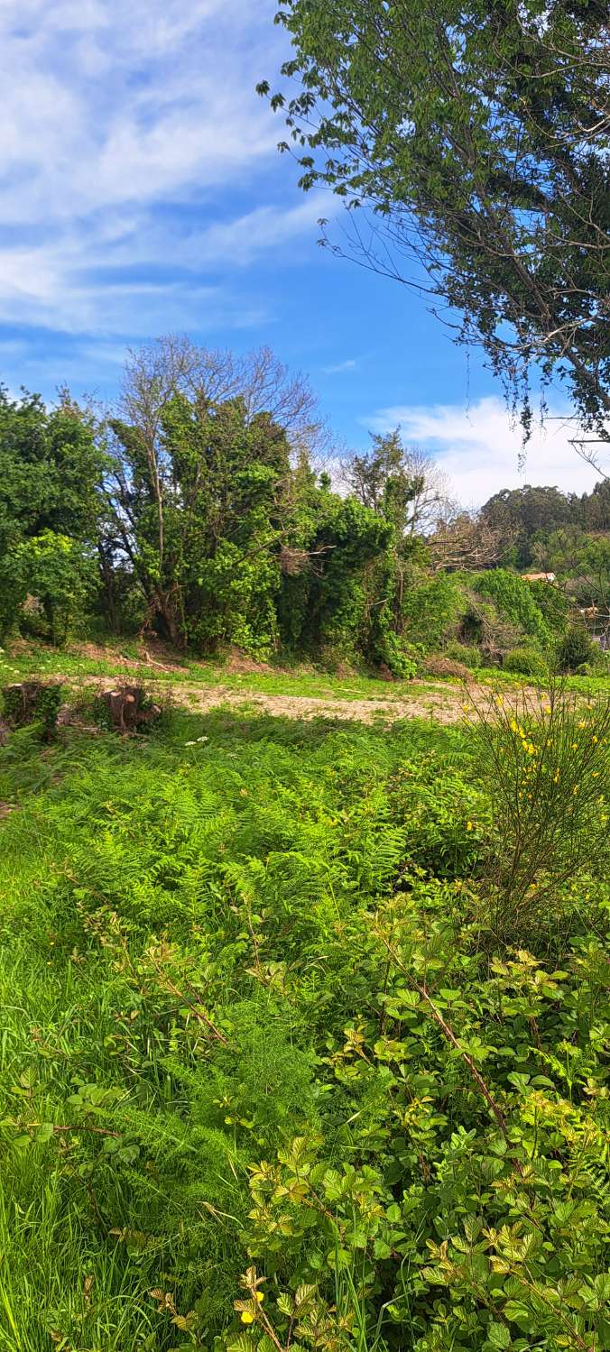 Building Site en venda in Fene