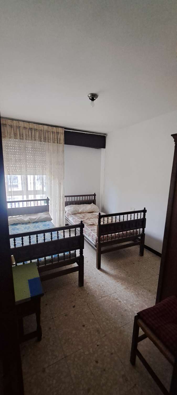 Vendemos piso, en exclusiva, en urbanización Olmo.