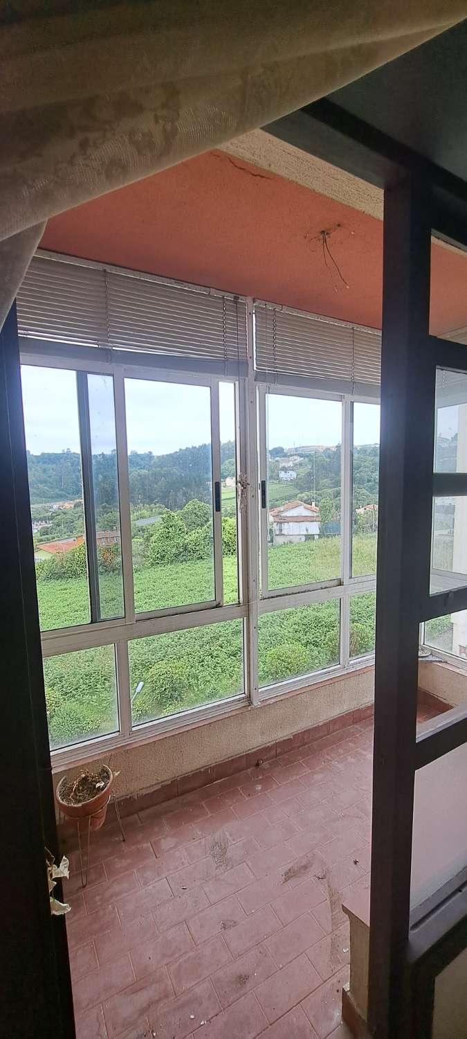 Vendemos piso, en exclusiva, en urbanización Olmo.