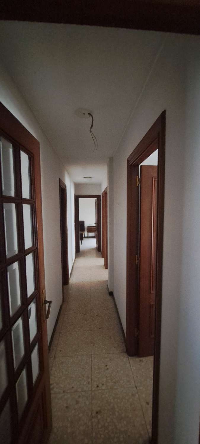Vendemos piso, en exclusiva, en urbanización Olmo.