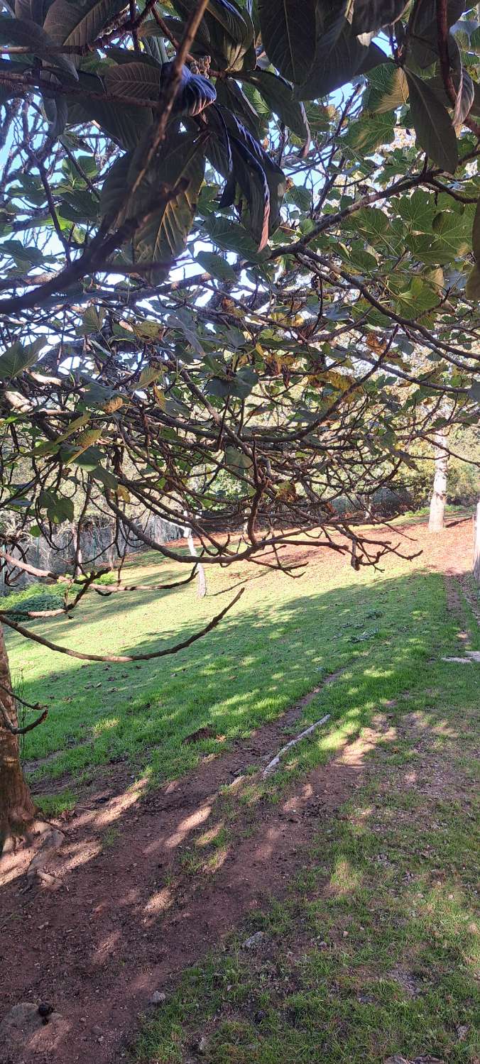 Wij verkopen uitsluitend huizen.