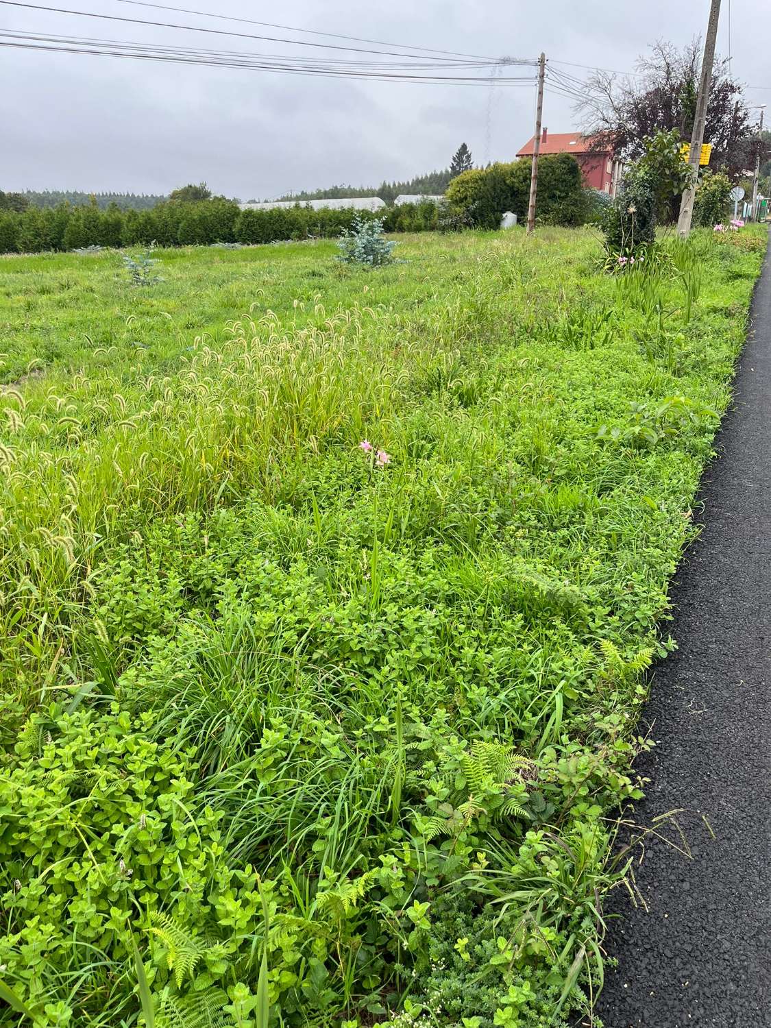 Vendemos terreno urbano en Paderne ( A Costa)