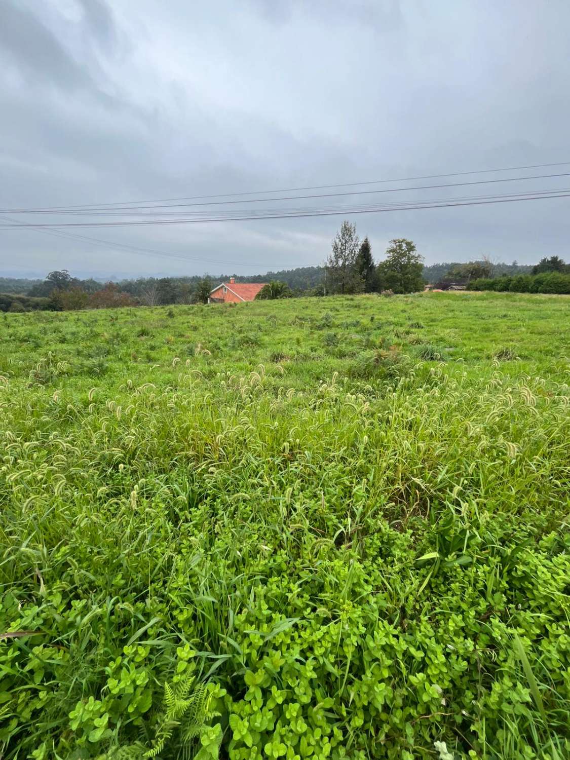 Vendemos terreno urbano en Paderne ( A Costa)