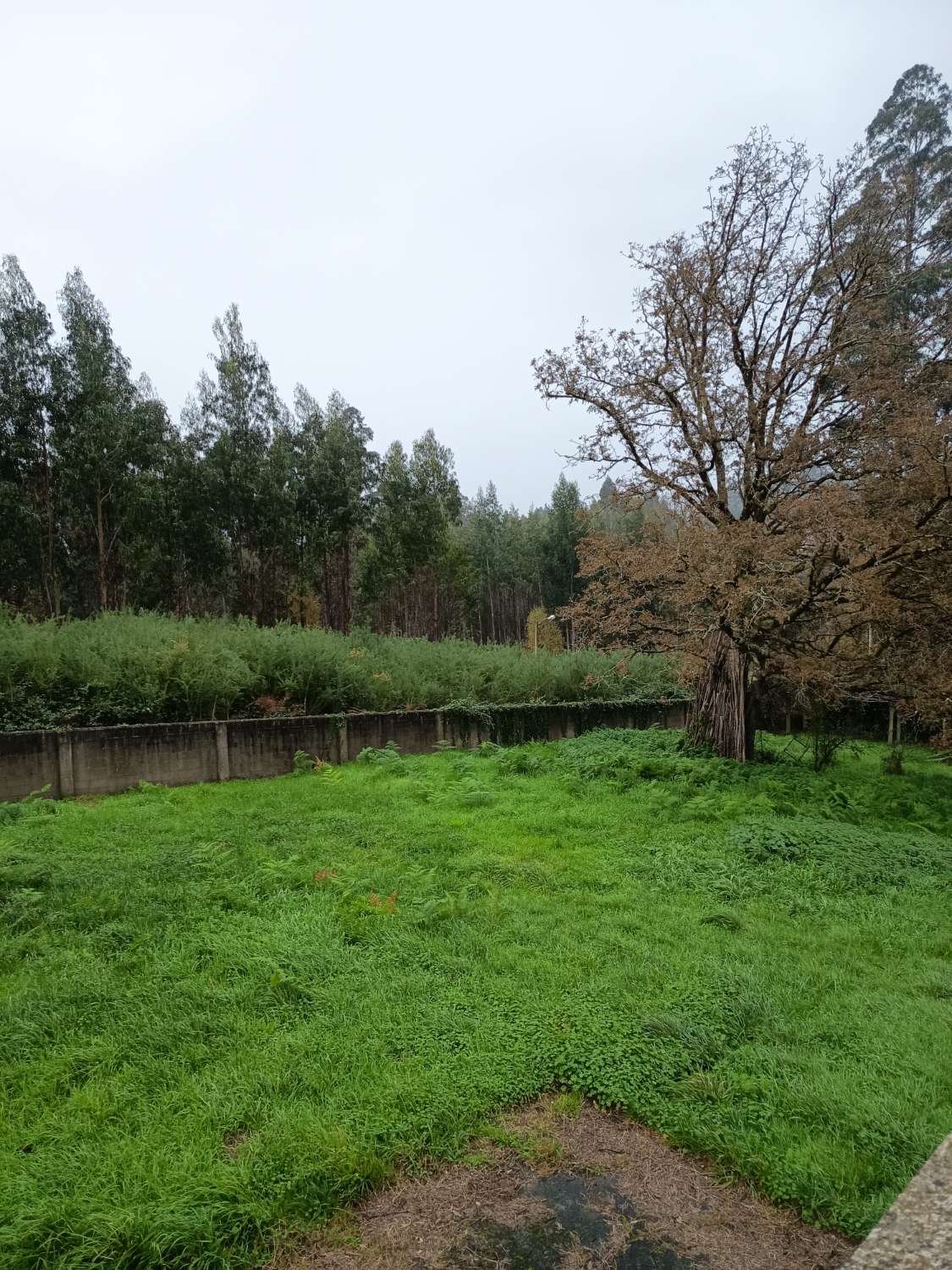 Prodáváme dům s pozemkem, exkluzivně.