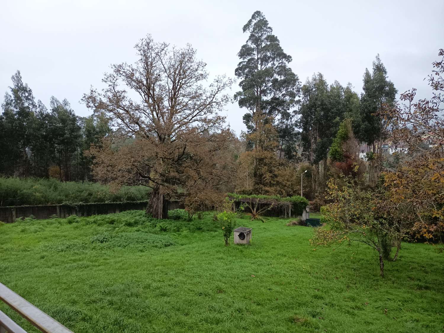 Prodáváme dům s pozemkem, exkluzivně.