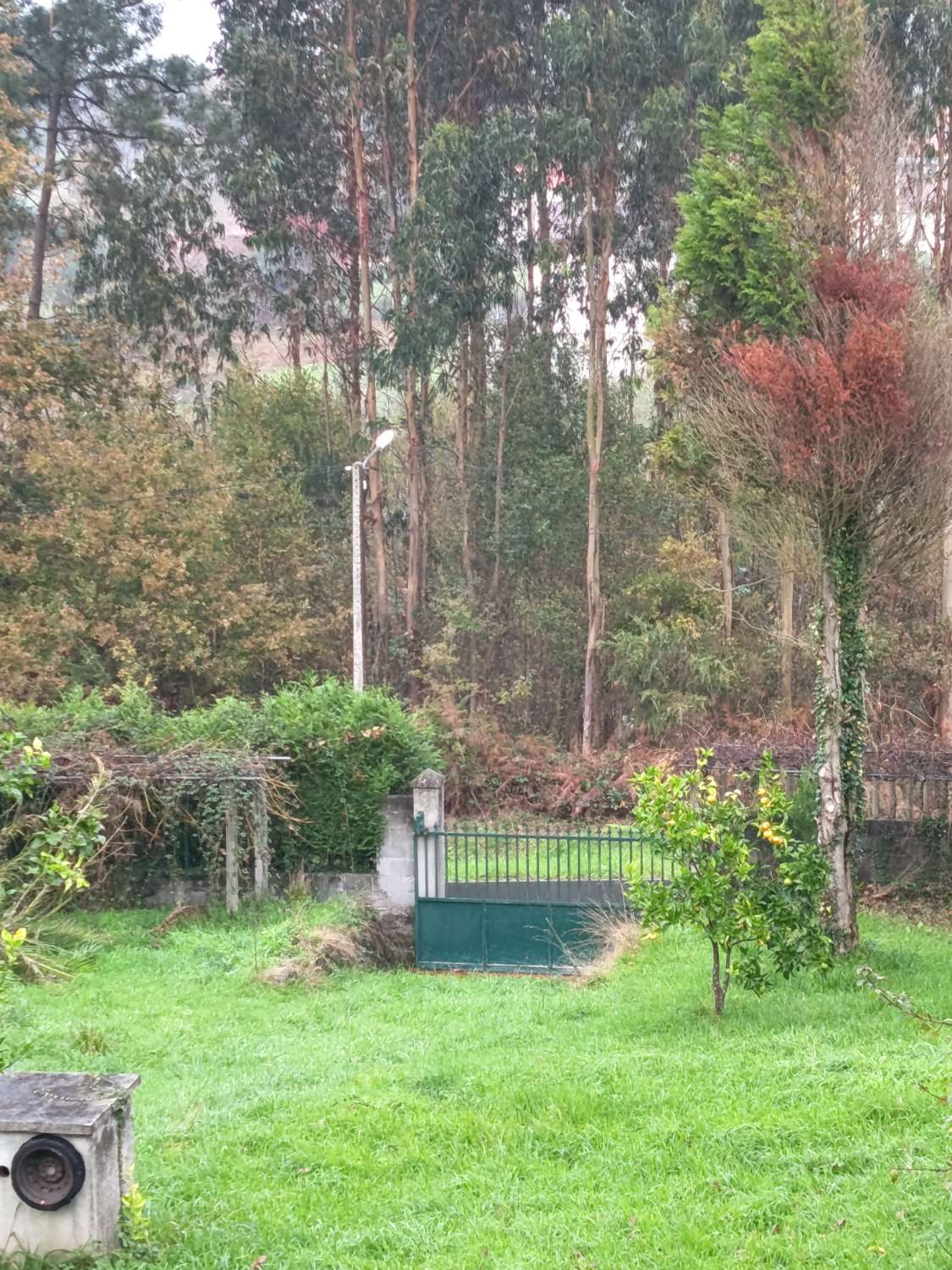 Prodáváme dům s pozemkem, exkluzivně.