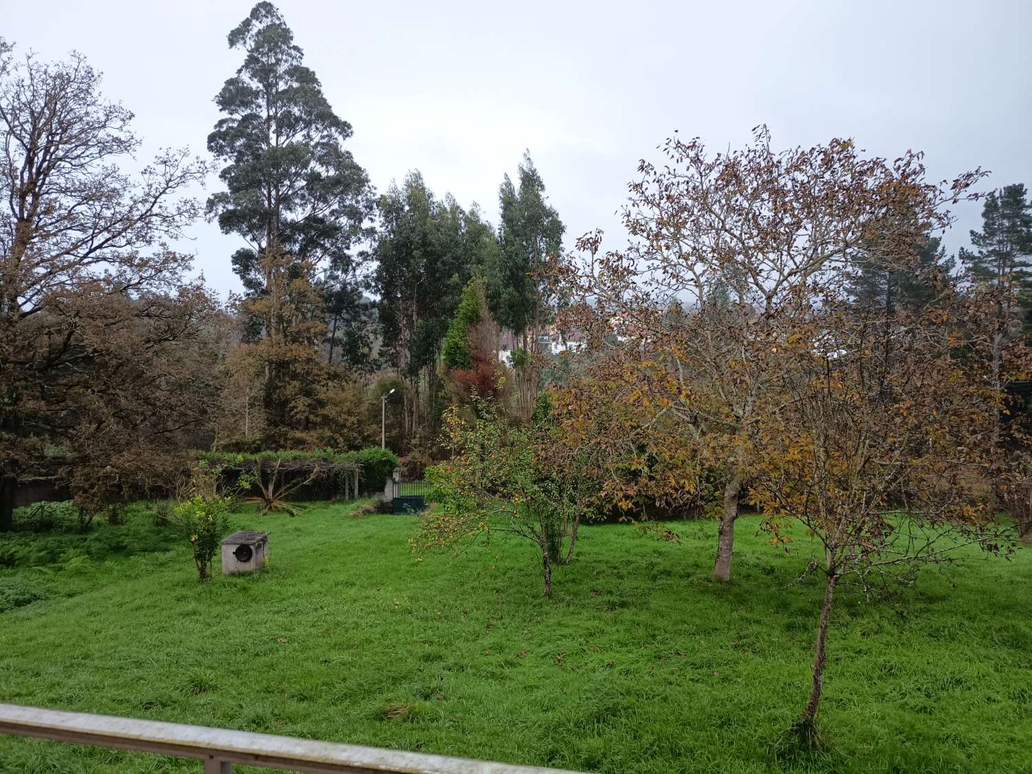 Prodáváme dům s pozemkem, exkluzivně.