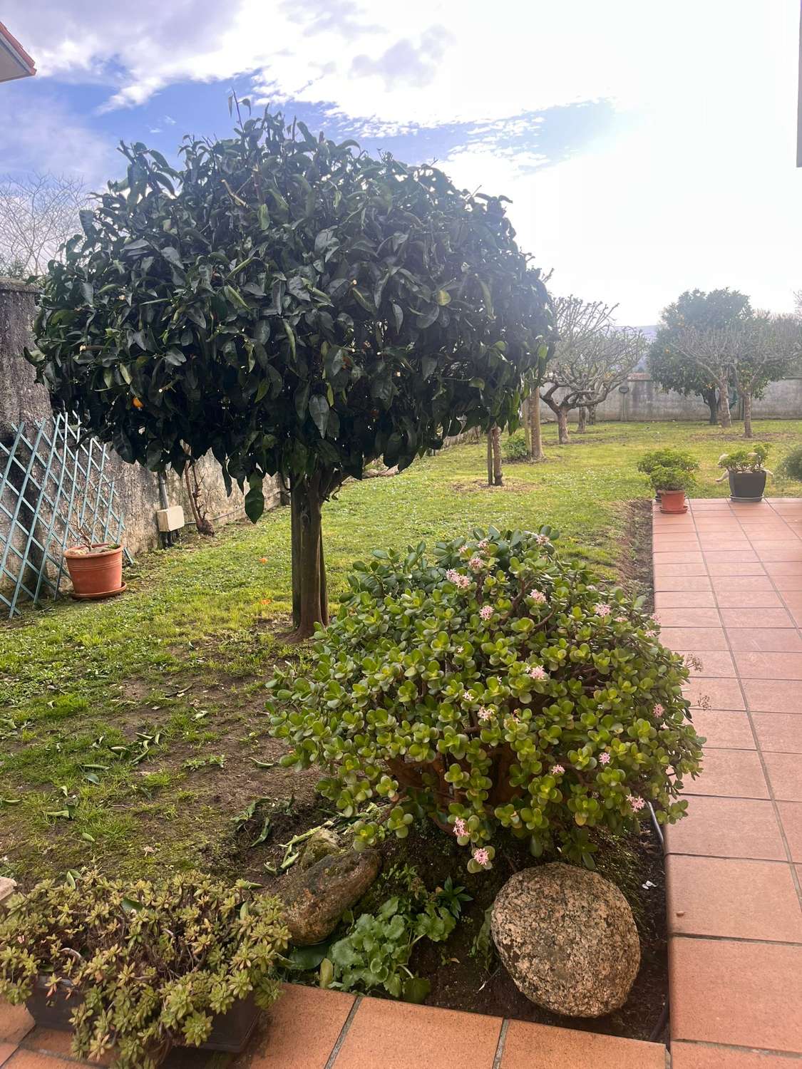 Vendemos casa, en exclusiva  y  de lujo, en Guísamo.