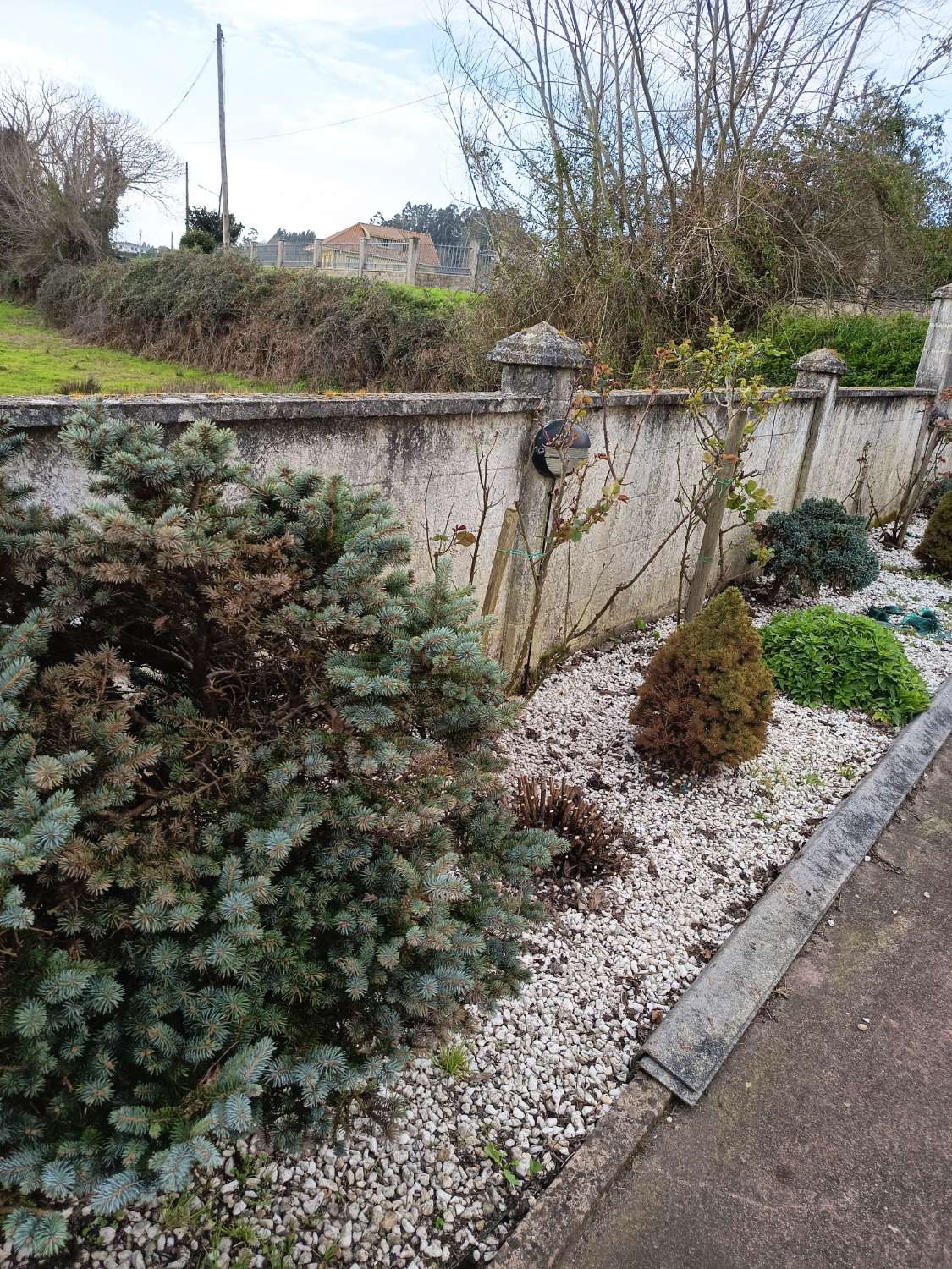 Vendemos casa, en exclusiva  y  de lujo, en Guísamo.