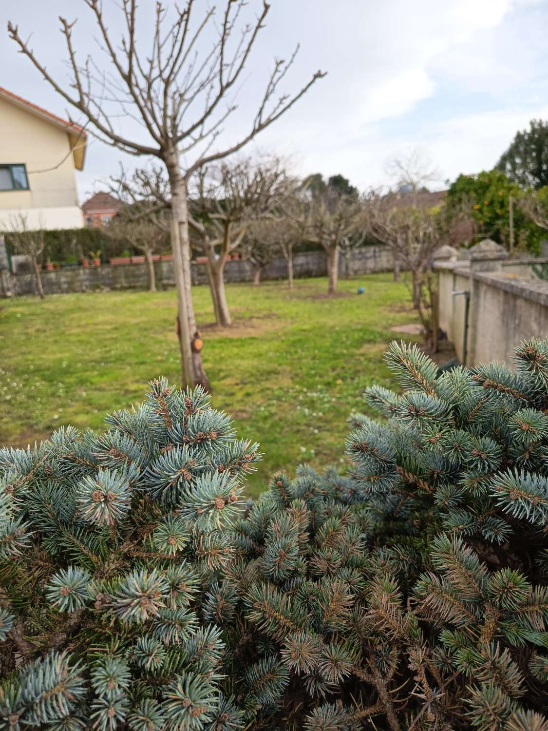 Vendemos casa, en exclusiva  y  de lujo, en Guísamo.