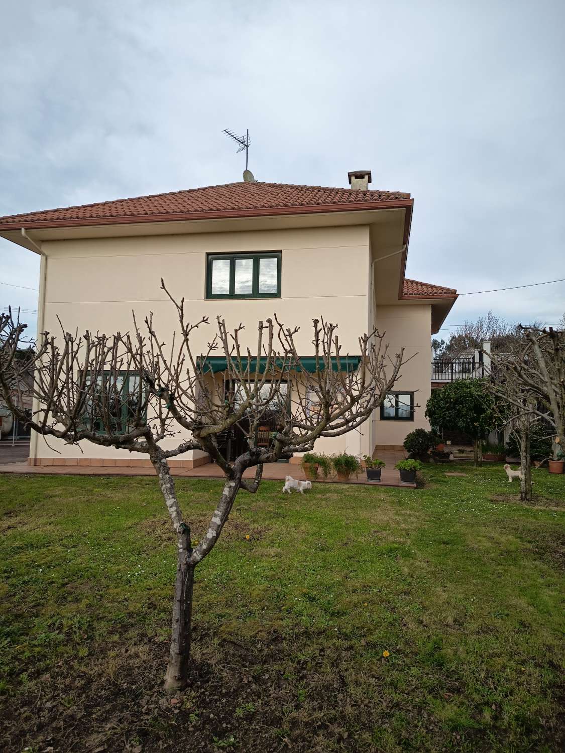 Vendemos casa, en exclusiva  y  de lujo, en Guísamo.