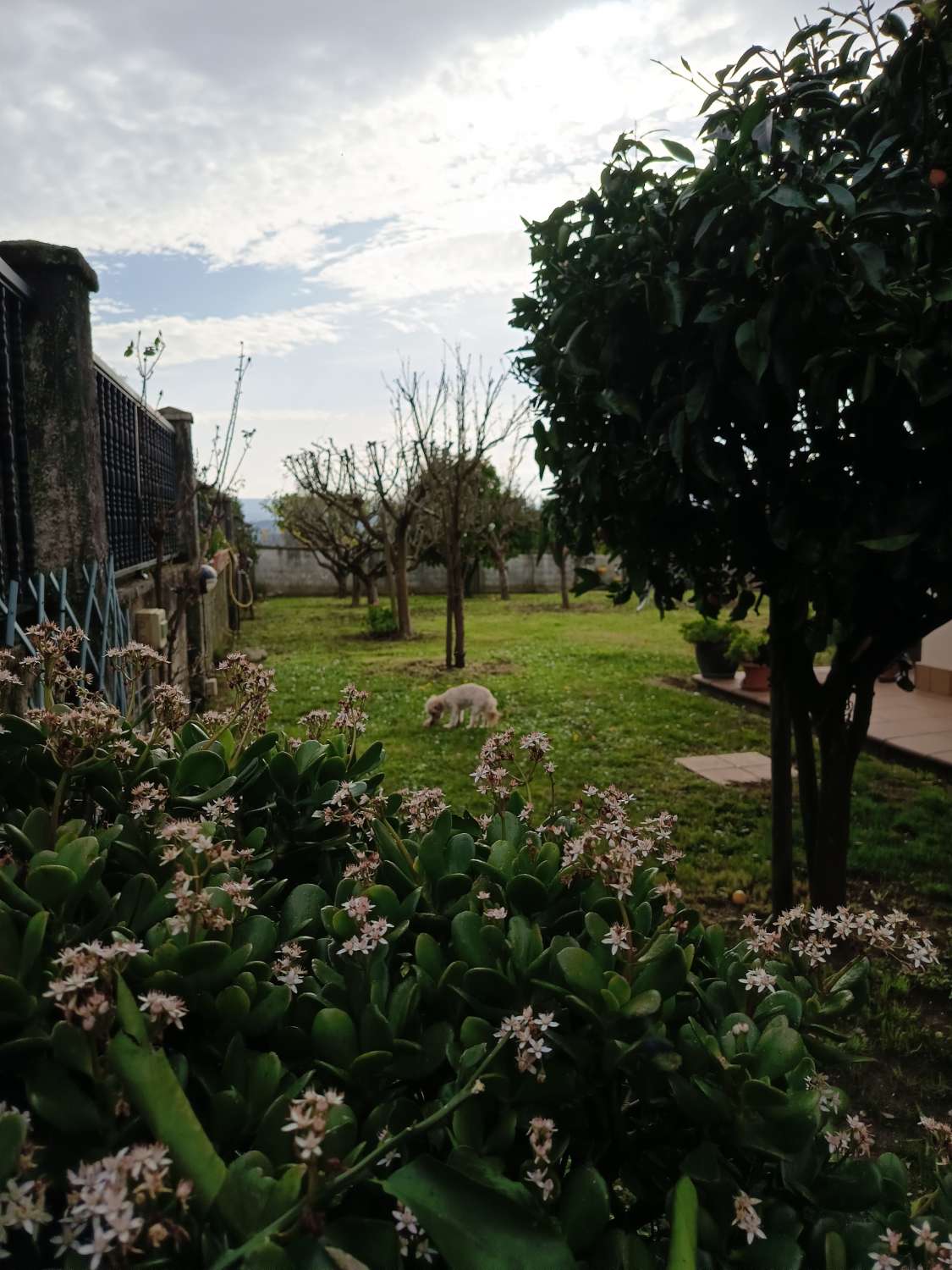 Vendemos casa, en exclusiva  y  de lujo, en Guísamo.