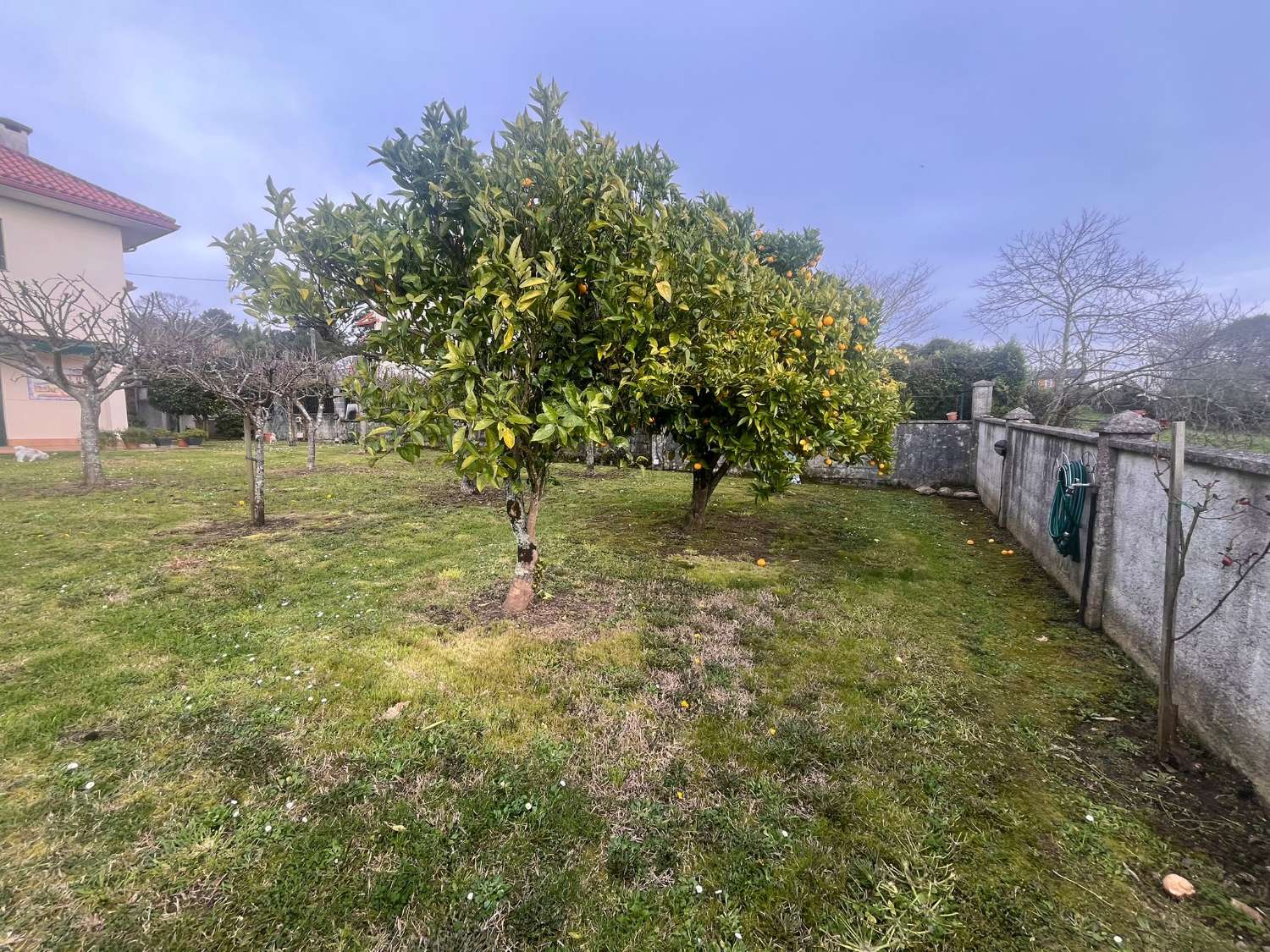 Vendemos casa, en exclusiva  y  de lujo, en Guísamo.