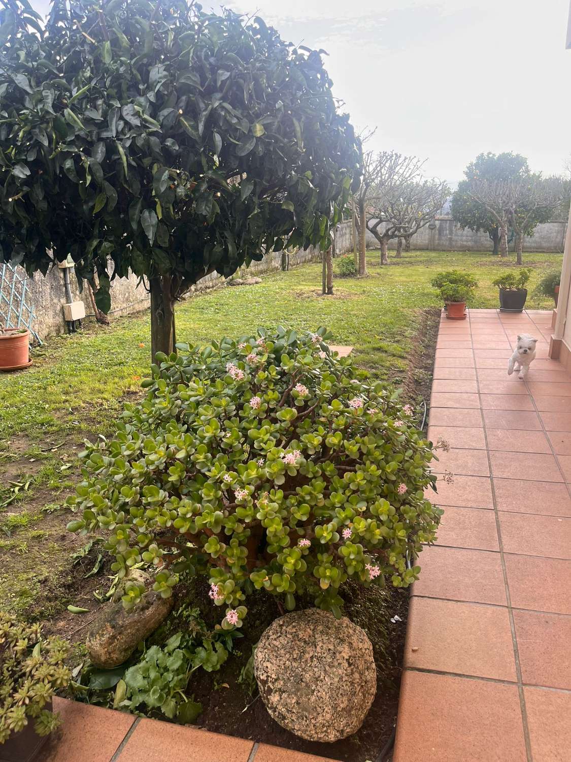 Vendemos casa, en exclusiva  y  de lujo, en Guísamo.