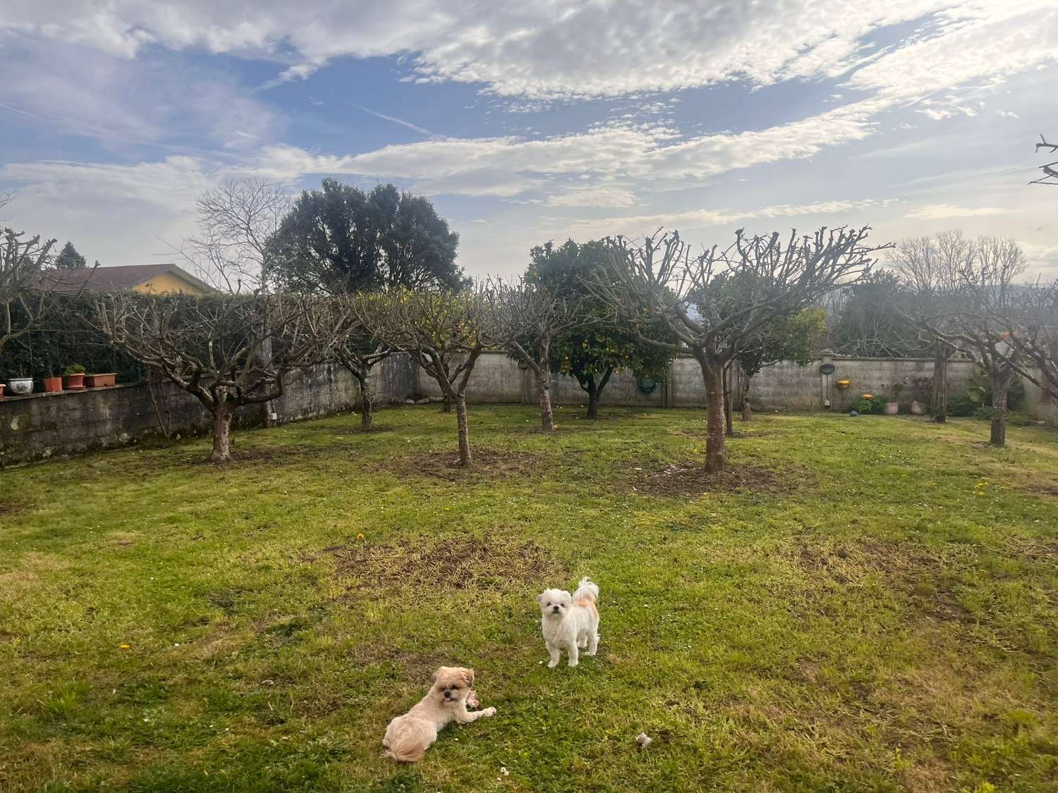 Vendemos casa, en exclusiva  y  de lujo, en Guísamo.