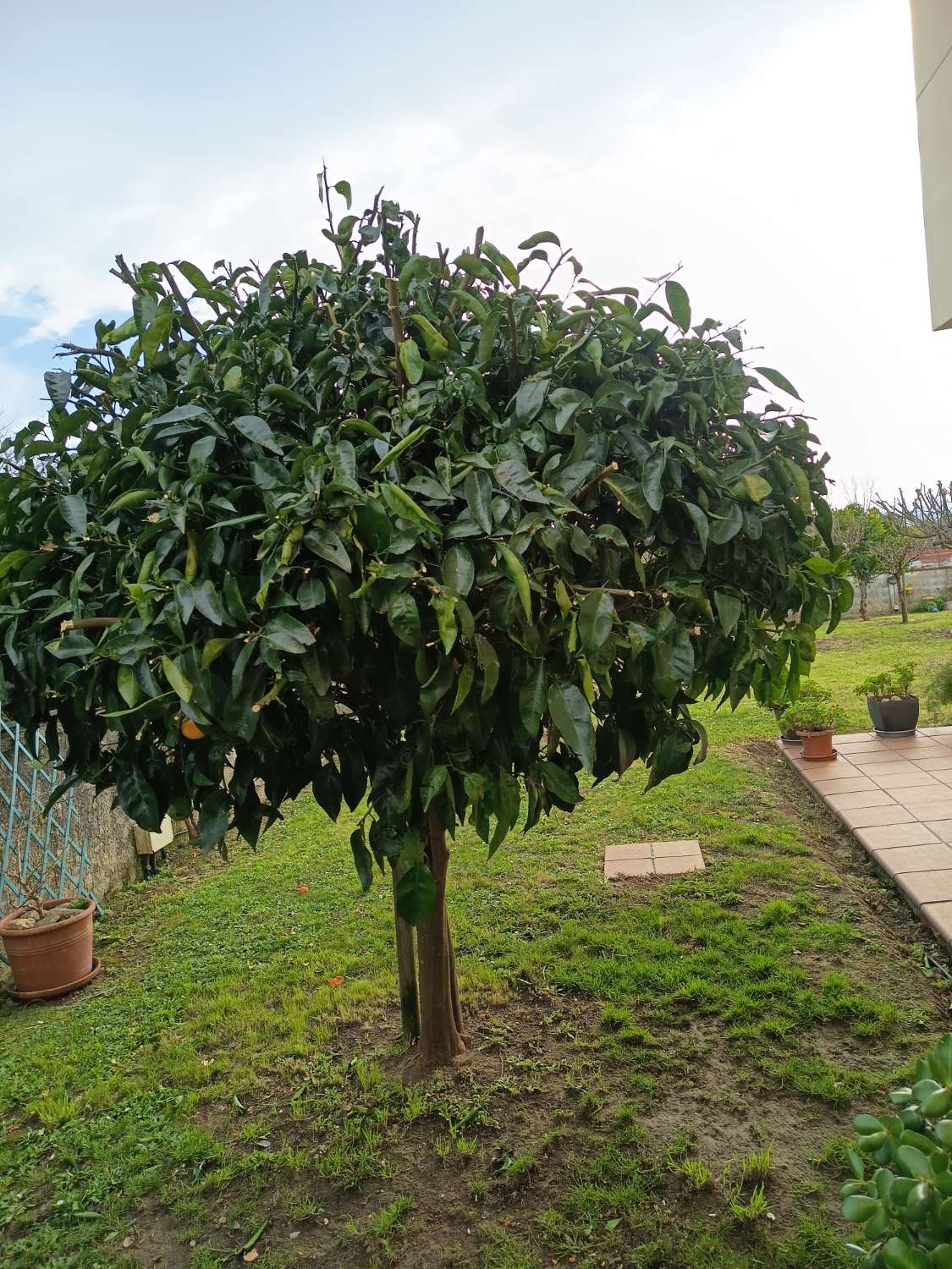 Vendemos casa, en exclusiva  y  de lujo, en Guísamo.