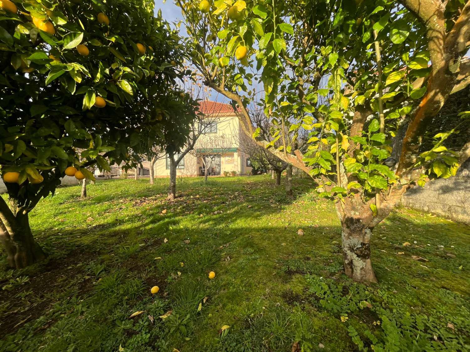 Stiamo vendendo un'esclusiva casa di lusso a Guísamo.