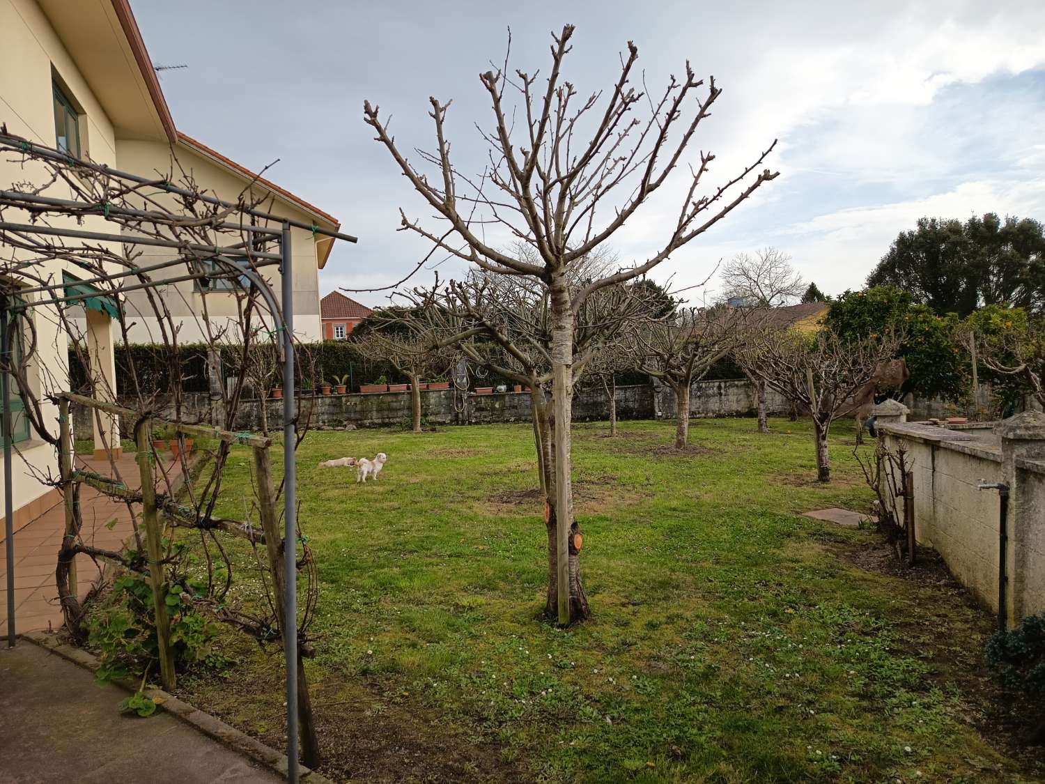 Vendemos casa, en exclusiva  y  de lujo, en Guísamo.