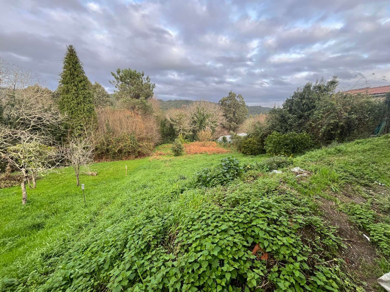 Se vende casa en Viñas. El Pedrido.