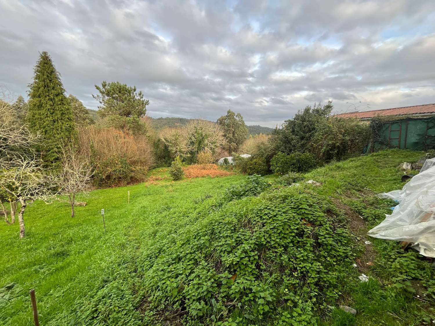 Se vende casa en Viñas. El Pedrido.