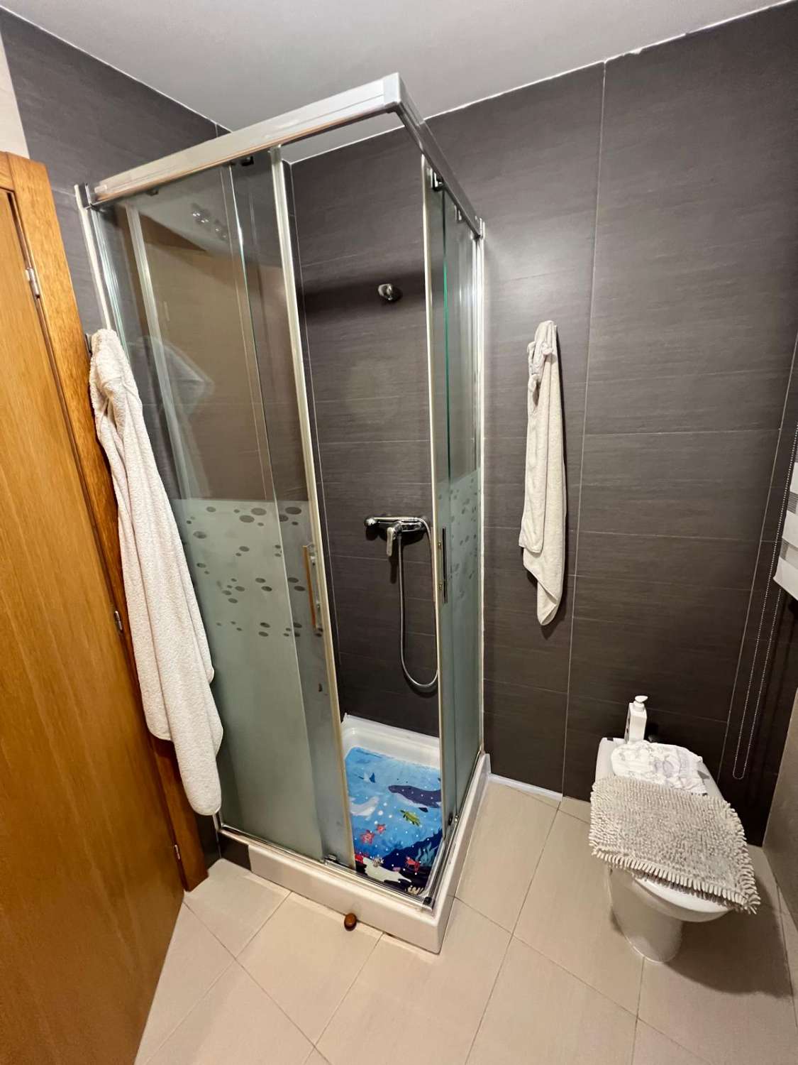 Vendemos dúplex en Narón