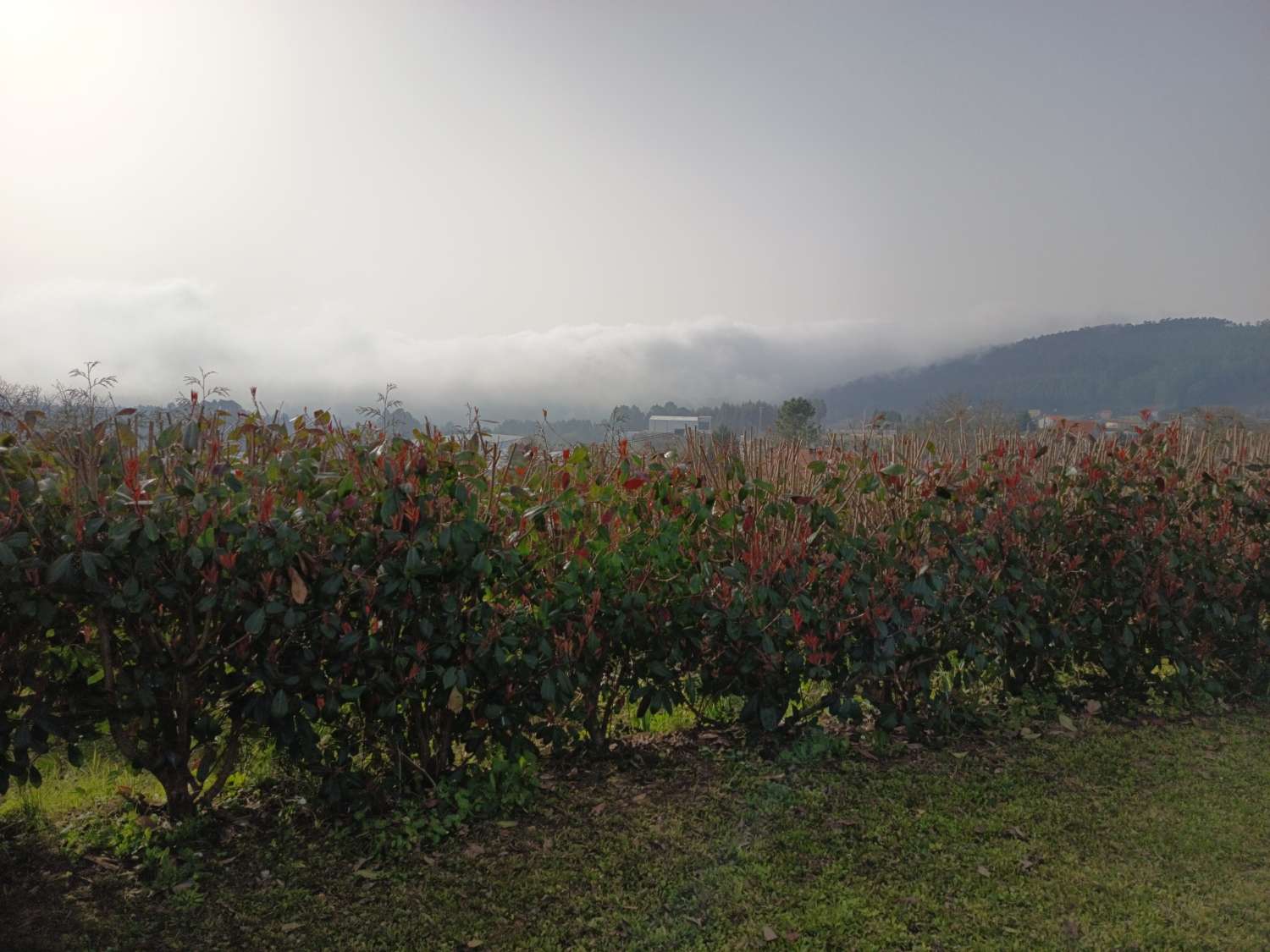 Building Site salgai in Pontedeume